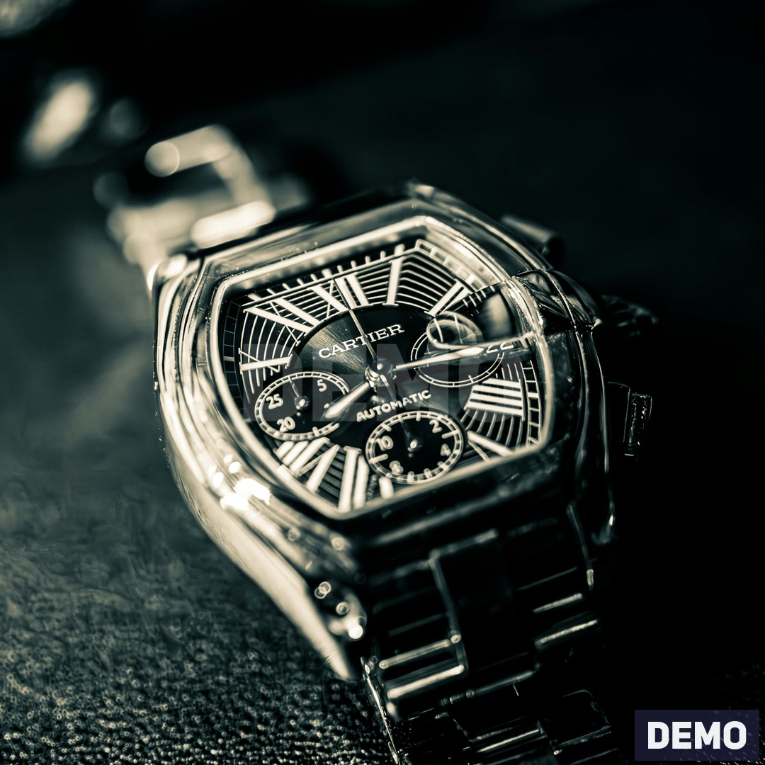Steel Skeleton Statement Watch — DEMO overview