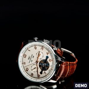 Silver Chronograph Watch — DEMO overview