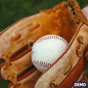 Premium Leather Baseball Glove — DEMO overview