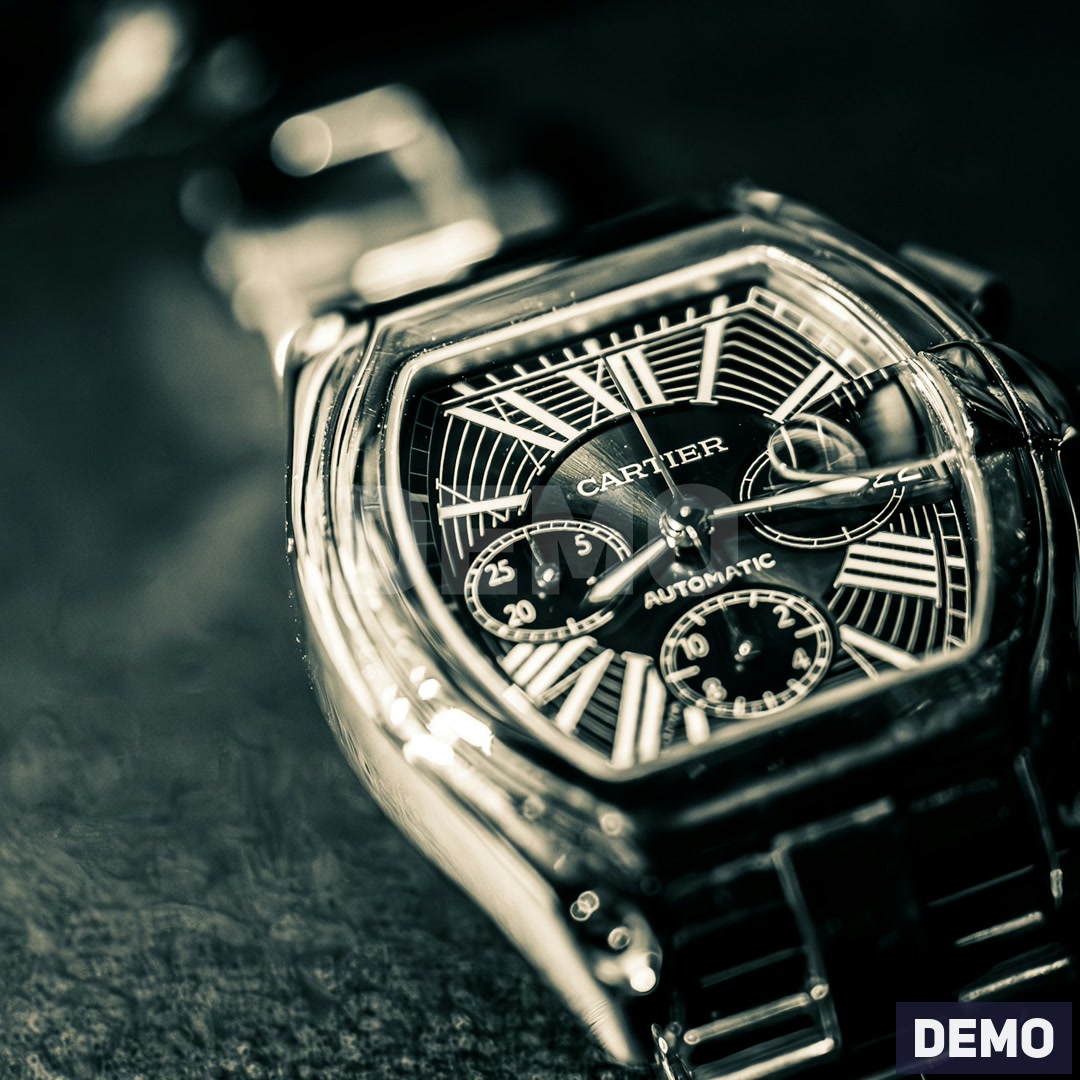Steel Skeleton Statement Watch — DEMO detail a