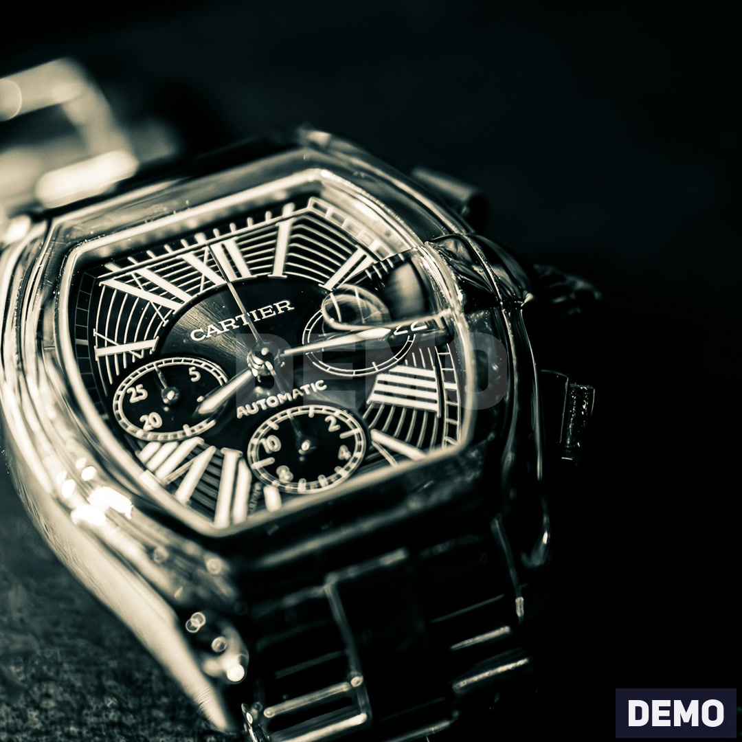 Steel Skeleton Statement Watch — DEMO detail b