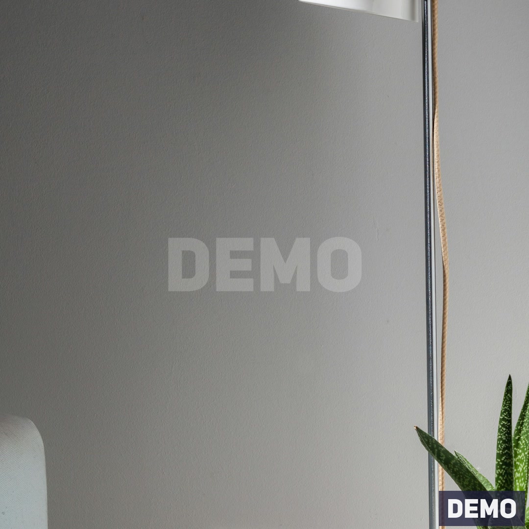 Modern Snake Plant and Lamp Set — DEMO detail a