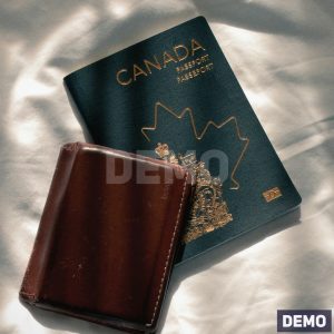 Leather Passport Wallet — DEMO overview